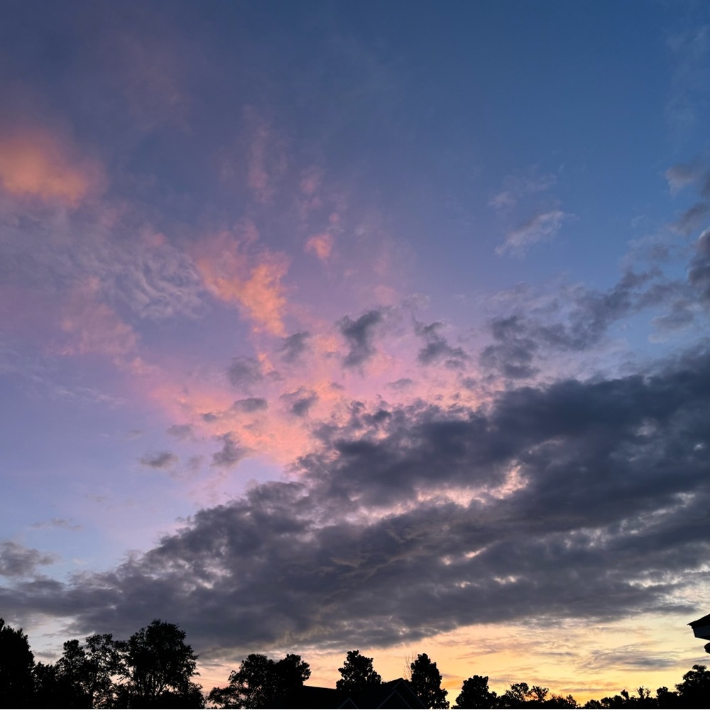 Meet your Posher, Angel